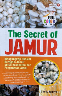 Image of The Secret of Jamur